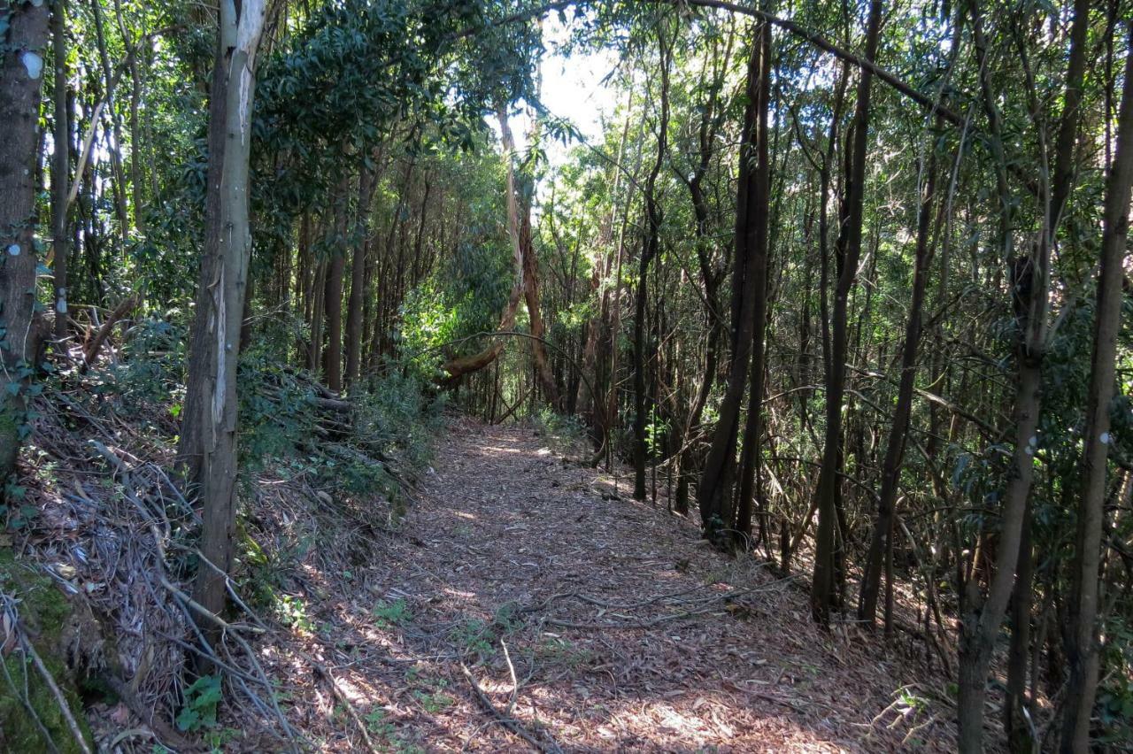 Villa Quinta São José - Museu do Triciclo Mesão Frio Esterno foto
